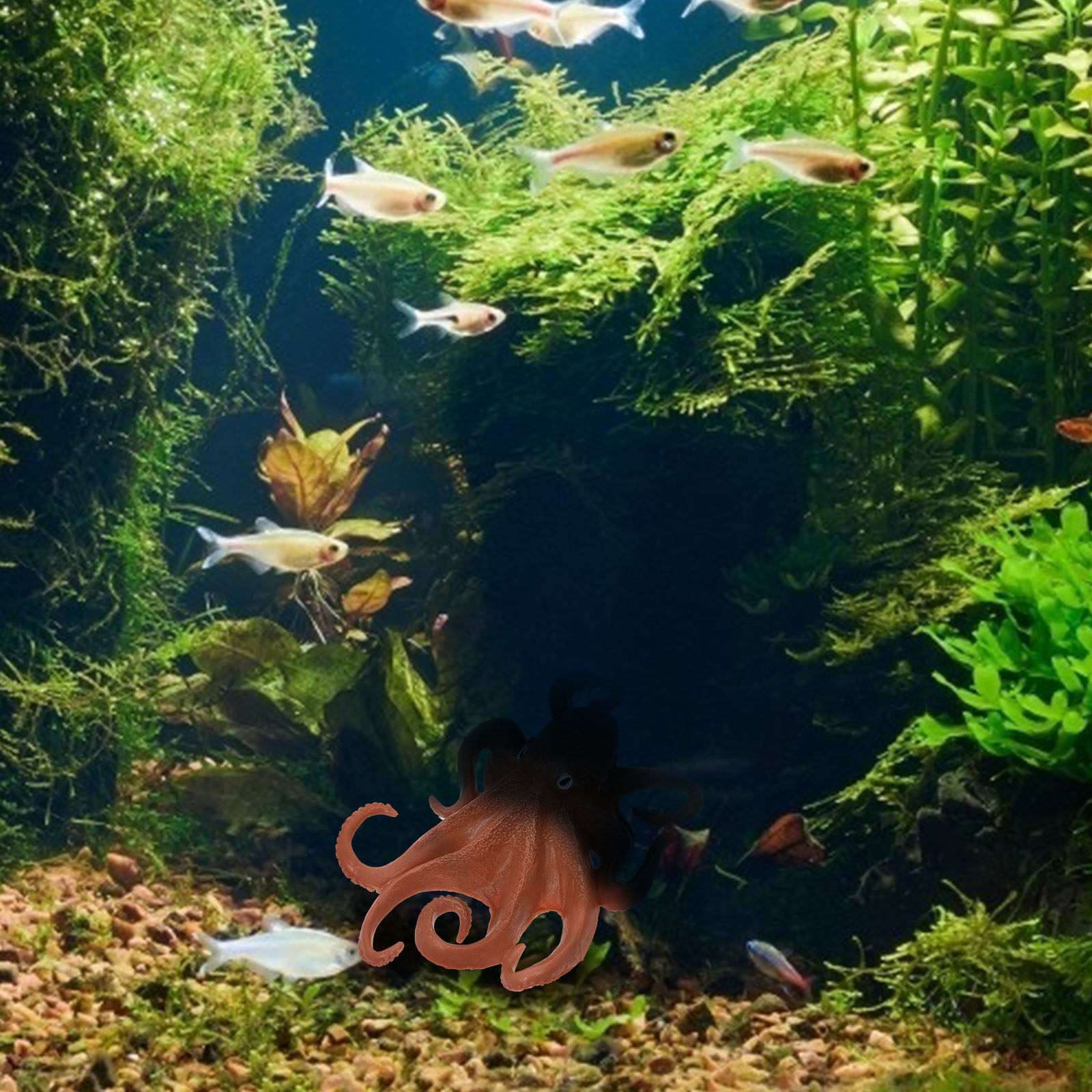 1Pcs Octopus Simulation Sea An - Ocean Aquarium 评论和价格